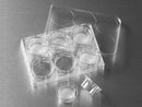 Corning Transwell Permeable Supports, Polycarbonate (PC) Membrane