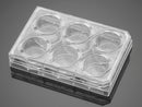 Corning PureCoat Amine and Carboxyl Plates