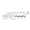 LabSelect 0.1 mL 8 Strip Tubes
