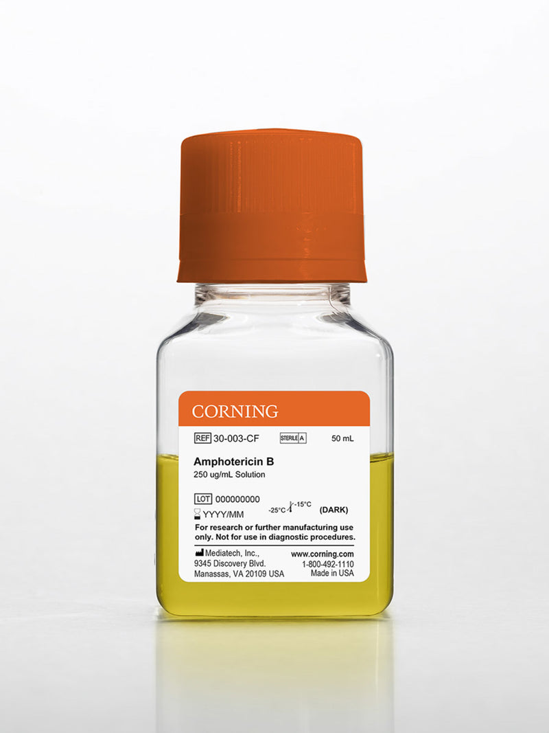 Corning 50 mL Amphotericin B, Liquid