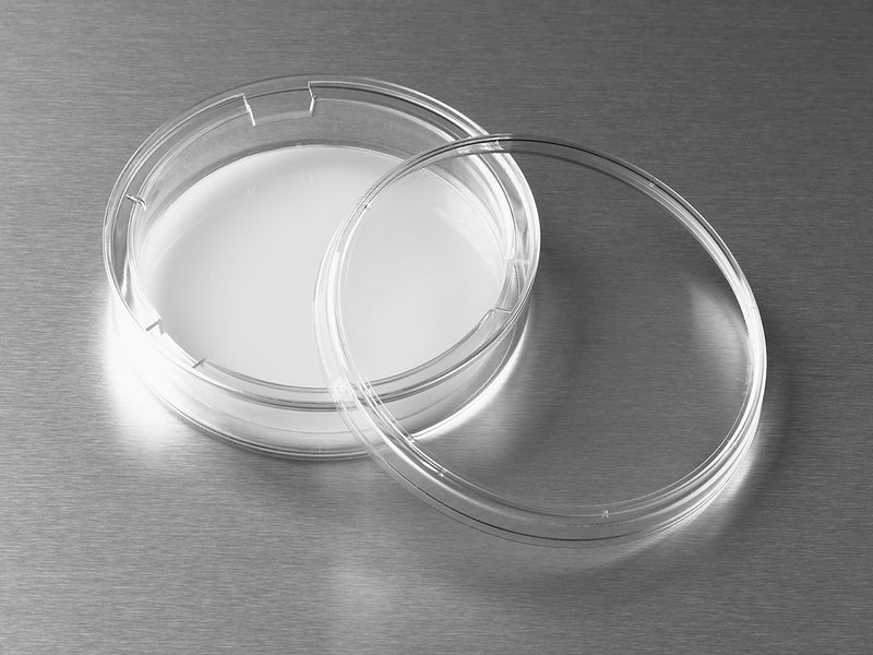 Corning Transwell Permeable Supports, Polycarbonate (PC) Membrane