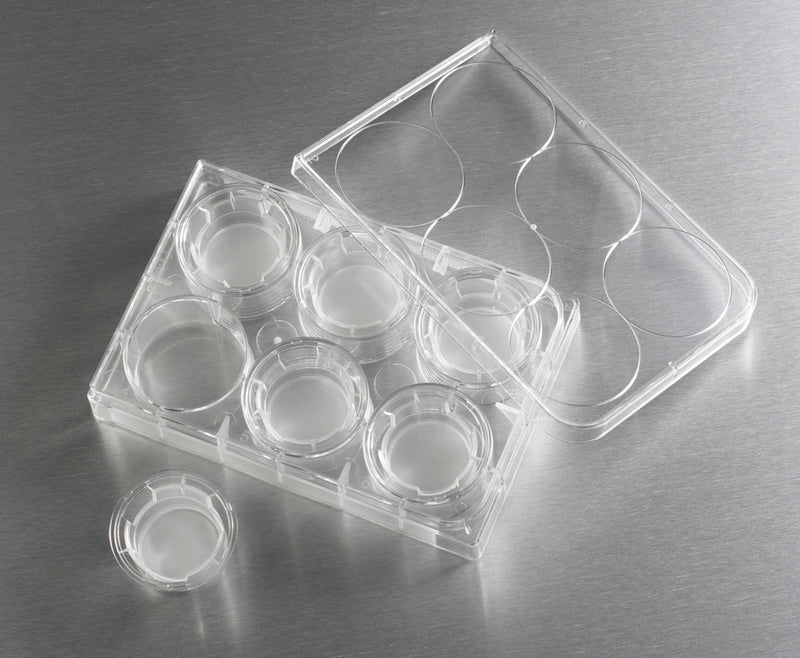 Corning Transwell-Clear Inserts, Polyester (PET) membrane