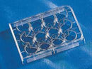 Corning Costar Multiple Well Cell Culture Plates