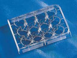 Corning Costar Multiple Well Cell Culture Plates