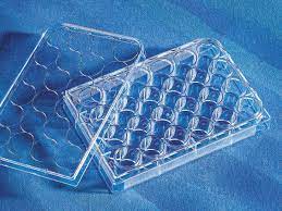 Corning Costar Multiple Well Cell Culture Plates