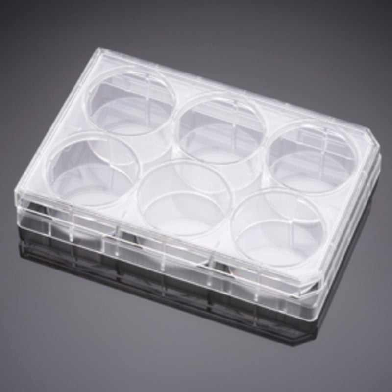 Corning Falcon Cell Culture Insert Companion Plates