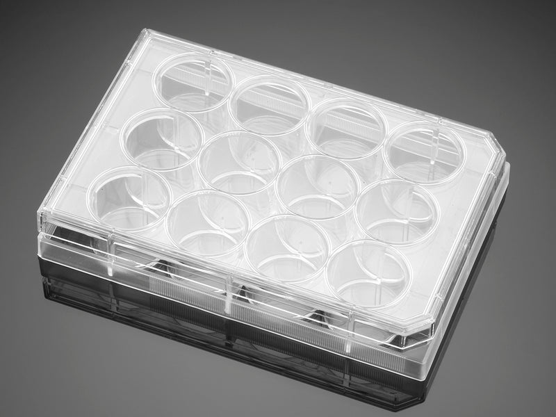 Corning Falcon Cell Culture Insert Companion Plates