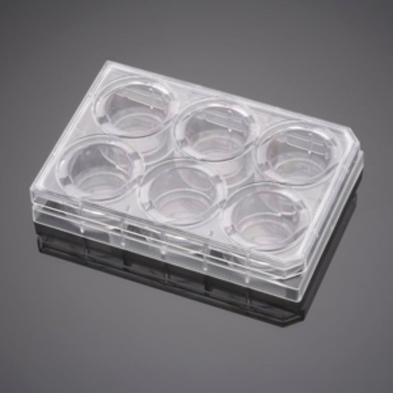 Corning BioCoat Control Cell Culture Inserts, PET Membrane