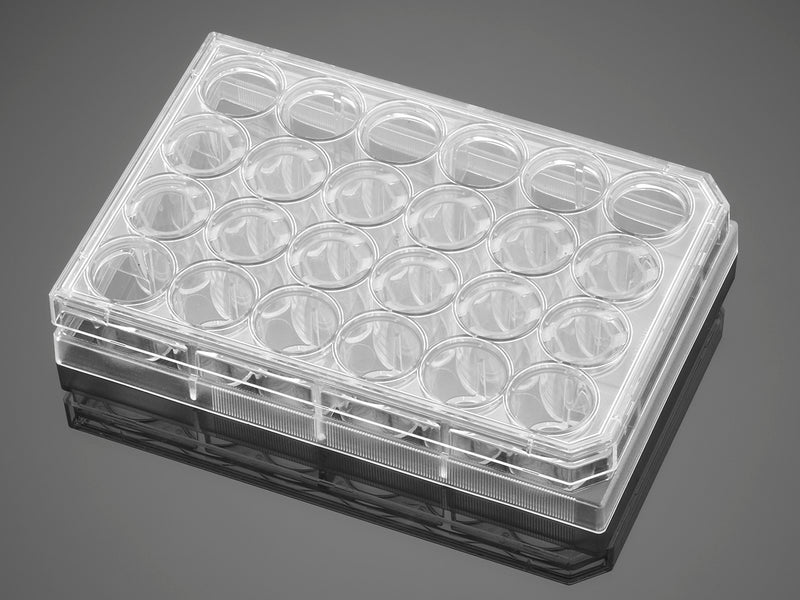 Corning BioCoat Control Cell Culture Inserts, PET Membrane