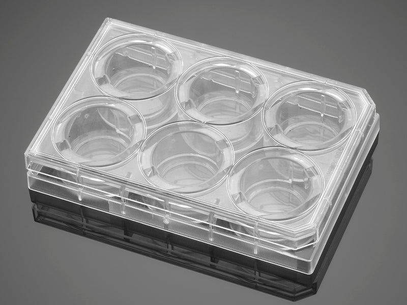 Corning BioCoat Control Cell Culture Inserts, PET Membrane