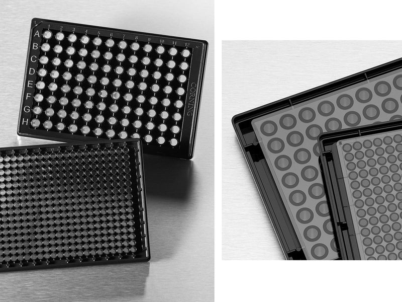 Corning 96-well High Content Screening Microplates with Film Bottom