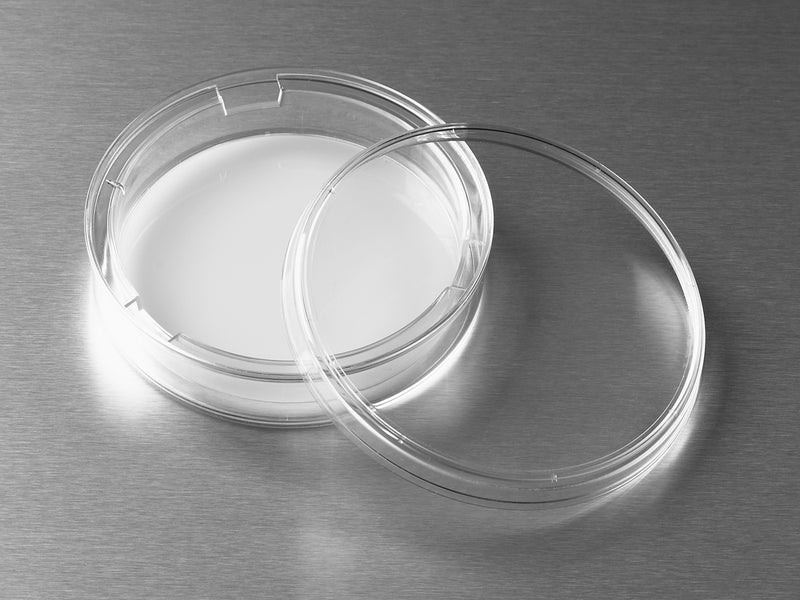 Corning Transwell Permeable Supports, Polycarbonate (PC) Membrane