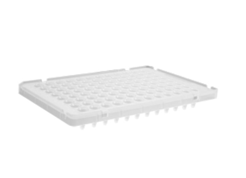 Corning Axygen 96-well Polypropylene PCR Microplate Compatible with ABI, Low Profile, Half Skirt, Clear