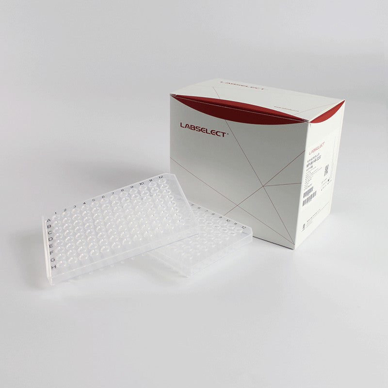 LabSelect 96 Well PCR Microplate