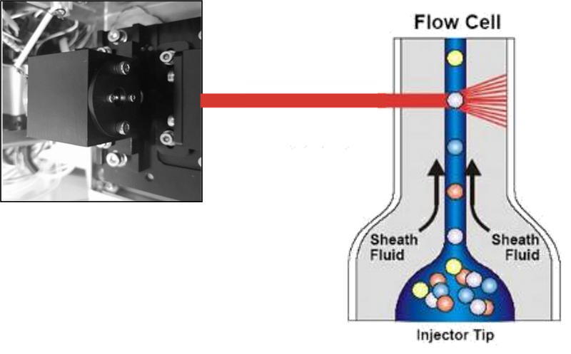 Zybio Hematology Analyzer